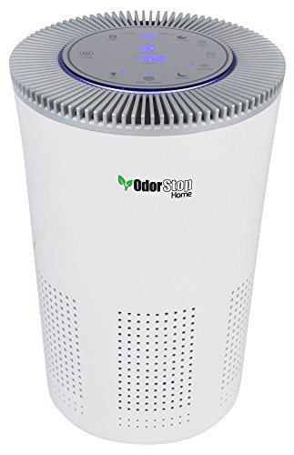 Best Air Purifier Over 1000 Sq Ft In 2022