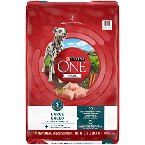 Best All Natural Puppy Food Reviews