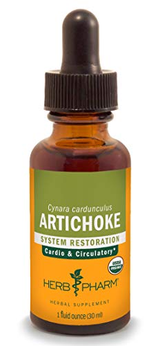Top 10 Best Artichoke Extract Liquid