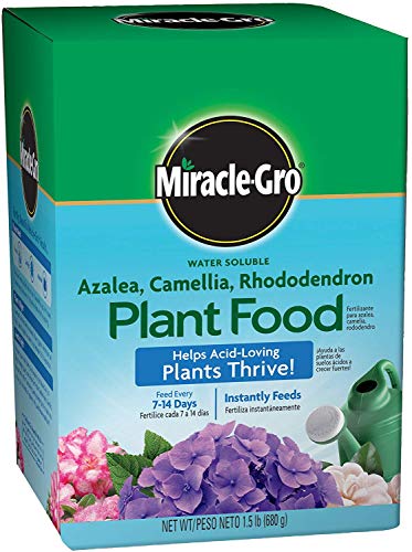 Best Acid Loving Plant Fertilizer In 2022
