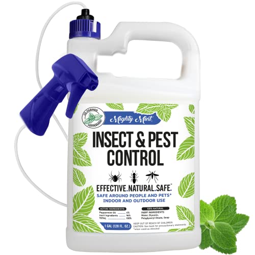 Top 10 Best And Cheapest Pest Control