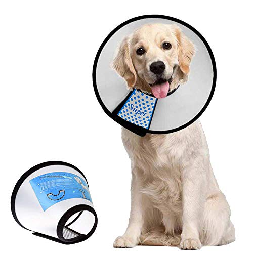 Best After Surgery Dog Collar In 2022