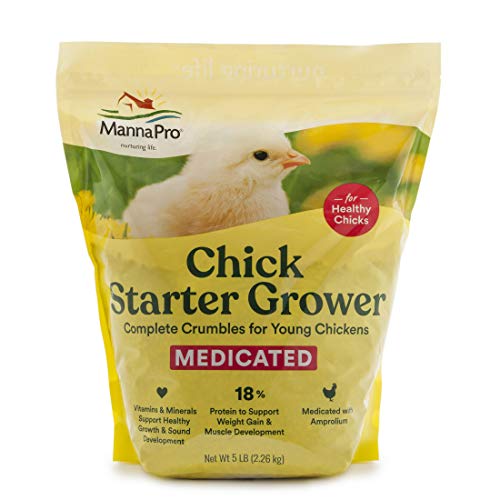 Top 10 Best Baby Chick Feed