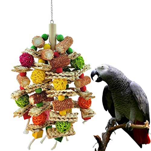 Best African Grey Parrot Toys In 2022