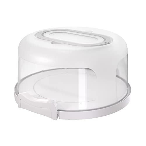 Best Airtight Cake Container Reviews
