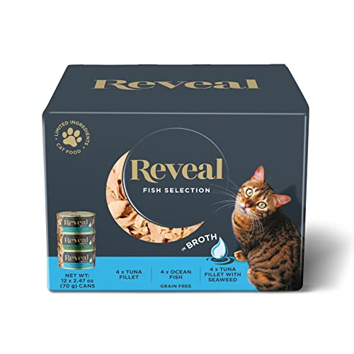 Best All Natural Cat Food Reviews