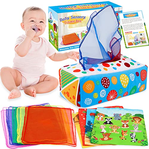 Top 10 Best Baby Toys 9 12 Months