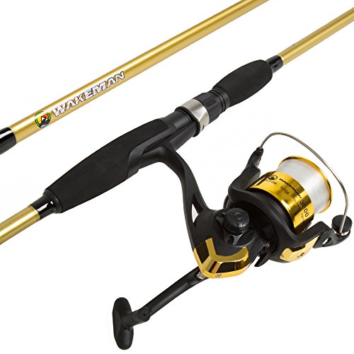 Top 10 Best Bass Fishing Spinning Reels
