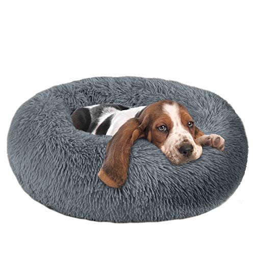 Top 10 Best Anxiety Pet Bed