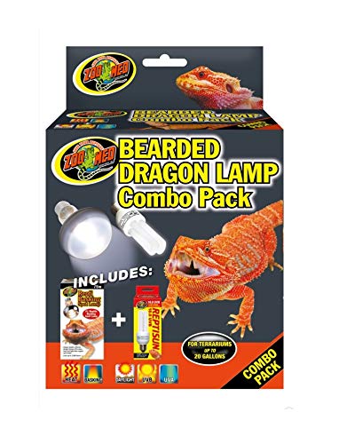 Top 10 Best Bearded Dragon Light Setup