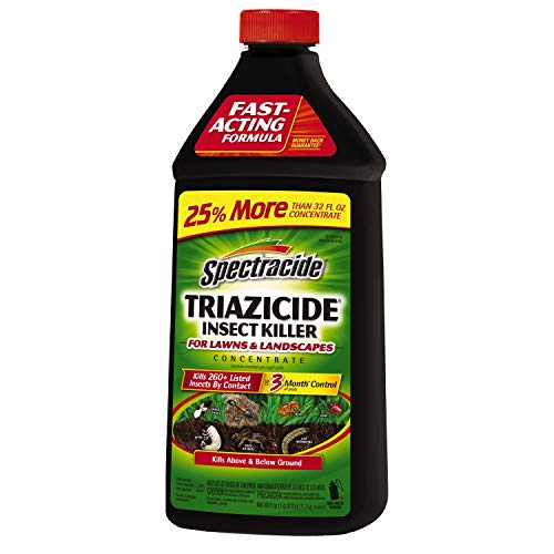 Top 10 Best Ant Killer Concentrate